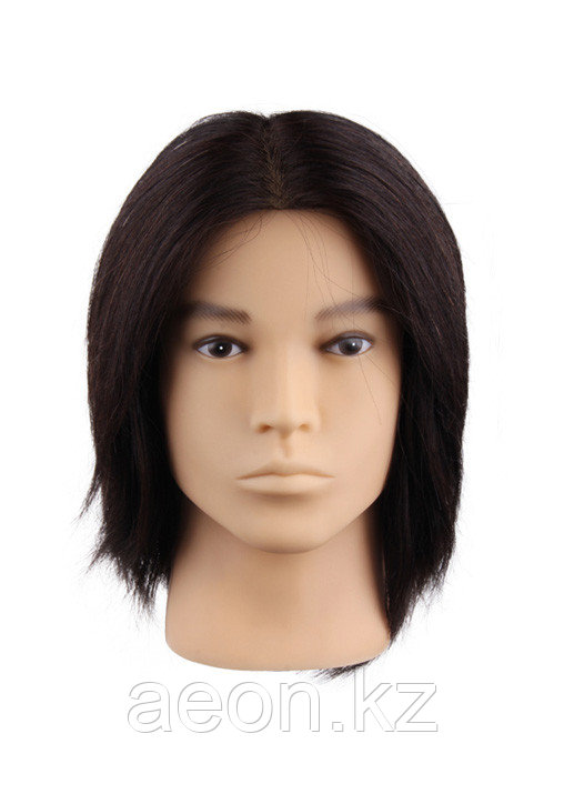 Голова-манекен мужской брюнет (100%) - 40 см - фото 1 - id-p81357787