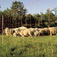 электроизгородь для овец