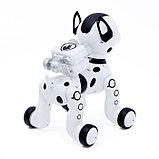 Интерактивный робот Умный Питомец ZYB-B2997, фото 2