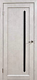 Межкомнатные двери модель Марион графит, фото 2