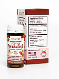 Капсулы для похудения Forskolin P - Форсколин П, фото 3