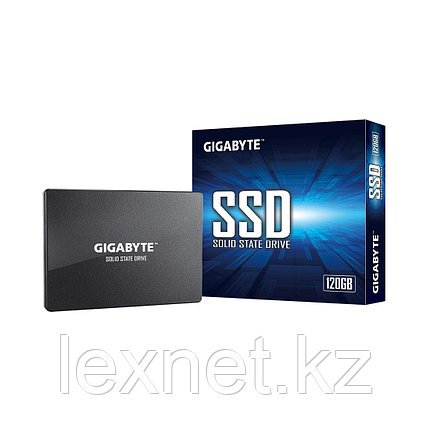 Твердотельный накопитель внутренний Gigabyte GSTFS31240GNTD, фото 2