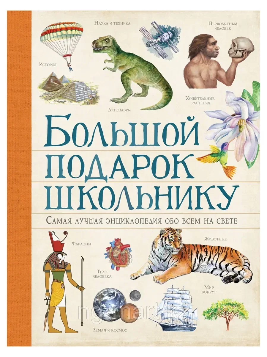 Книга Большой подарок школьнику Л. Ачети, М.Скудери 256 стр 9785353092698 - фото 1 - id-p96763199