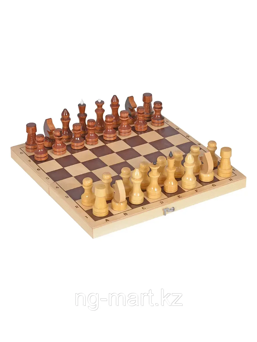 Шахматы ИН-7520 Рыжий Кот - фото 1 - id-p96762495
