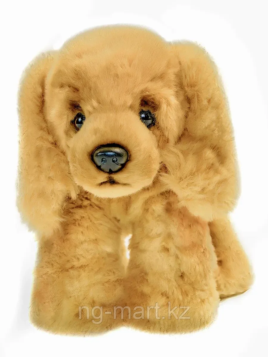 Мягкая игрушка Собака Спаниель Вейси 30 см 84404-9 ТМ Коробейники - фото 1 - id-p96761085