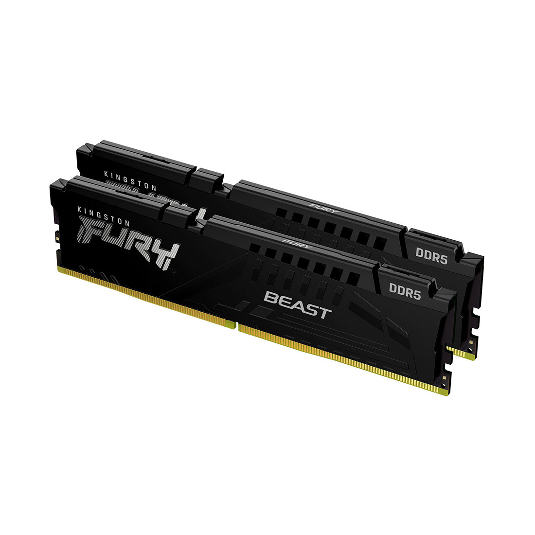 Комплект модулей памяти Kingston FURY Beast KF548C38BBK2-32 DDR5 32GB (Kit 2x16GB) 4800MHz - фото 1 - id-p96851710