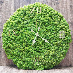 Часы из стабилизированно мха 55 см (Светло-зеленый мох)