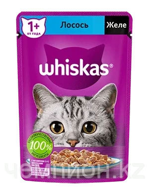 Whiskas, Вискас желе с лососем, влажный корм для кошек, паучи 28шт.*75 гр.