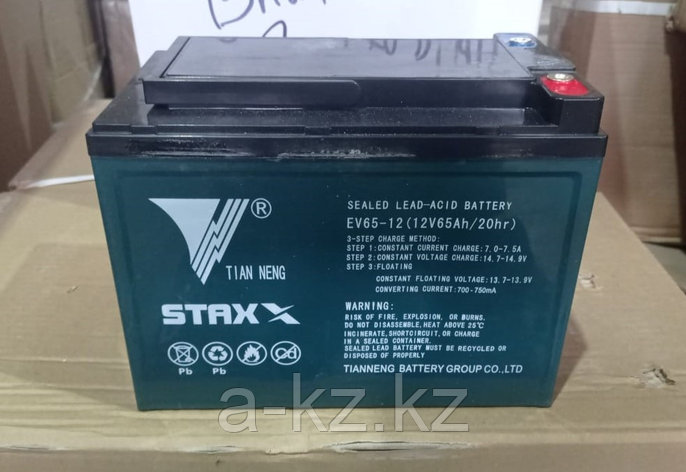 Аккумулятор для тележек WPT15-2 12V/65Ah гелевый (Gel 
battery), фото 2