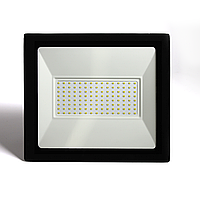 Светодиодный прожектор LED INTER 100W 6500K IP65 (уличное освещение) MEGALIGHT (10)