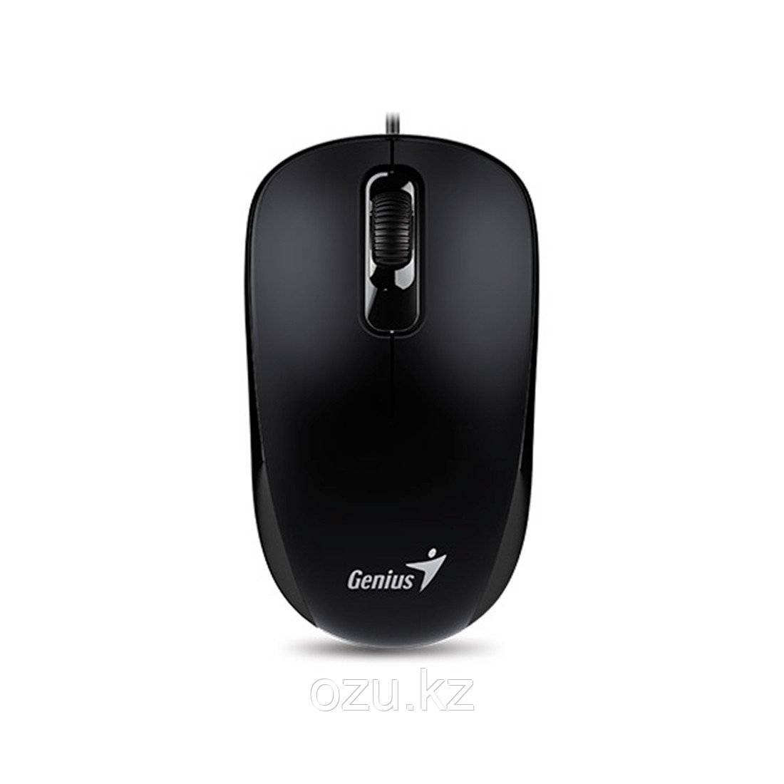Компьютерная мышь Genius DX-110 Black - фото 2 - id-p96928115