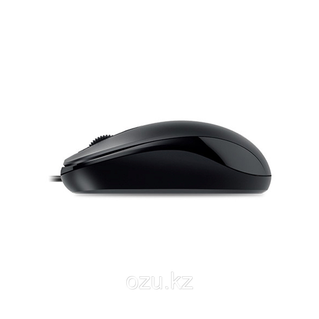 Компьютерная мышь Genius DX-110 Black - фото 3 - id-p96928115