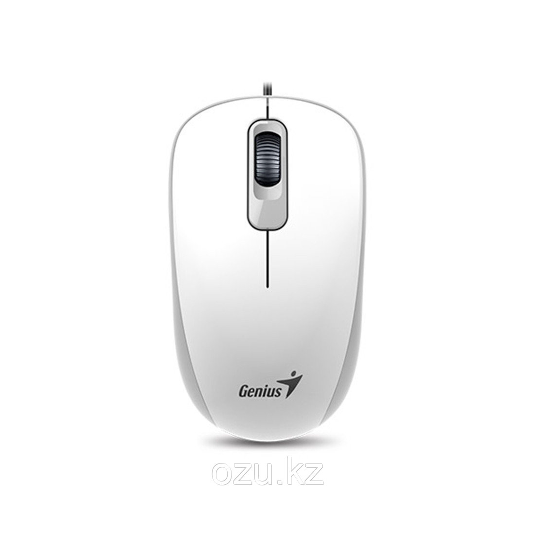 Компьютерная мышь Genius DX-110 White - фото 2 - id-p96928116