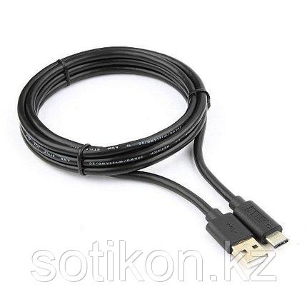 Кабель USB Cablexpert CCP-USB2-AMCM-6, USB2.0 USB/Type-C, 1.8м, пакет, фото 2