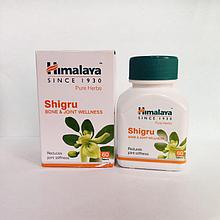 Шигру, Гималаи (Shigru, Himalaya). для суставов. 60 таблеток