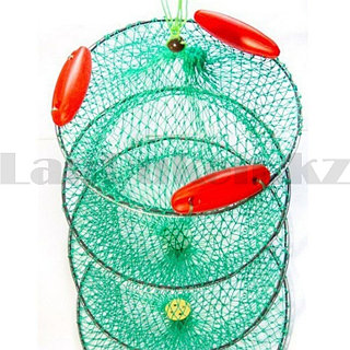 Орыс ана ұлы секс видео