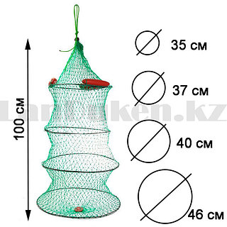 Жас есек пен кисканың фотосы