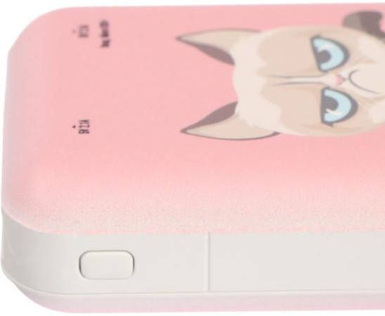 Внешний аккумулятор Ritmix RPB-10007 Grumpy Cat 10000 mAh - фото 4 - id-p97107074