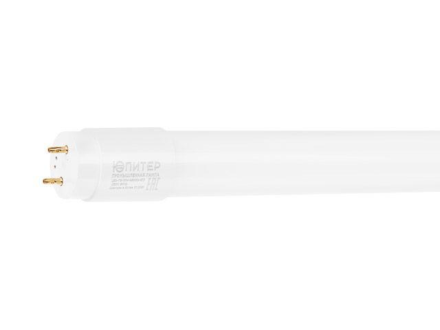 Лампа светодиодная промышл. T8 10 Вт G13 6500К ЮПИТЕР (длина 600мм, аналог 18Вт., 900Лм, хол. белый свет) - фото 1 - id-p97128999