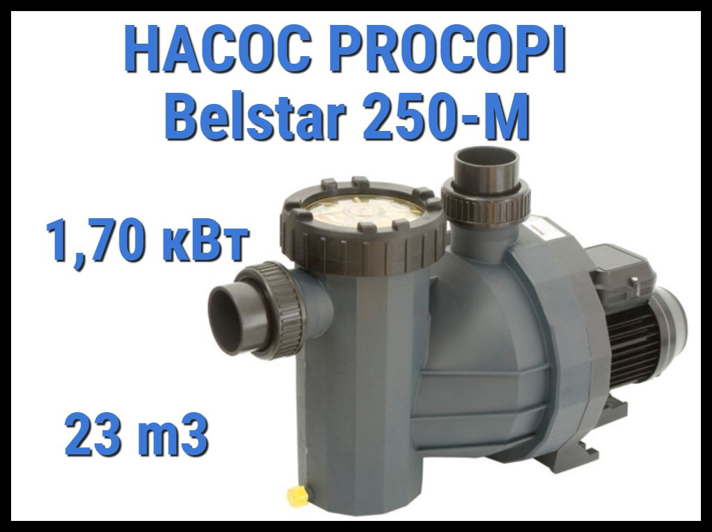 Насос для бассейна Procopi Belstar 250-M c префильтром (Производительность 23 м3/ч)
