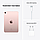 Планшет iPad mini 6 Wi-Fi + 4G 64Gb Розовый, фото 6