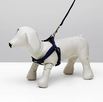 Комплект амуниции рельефный для животных