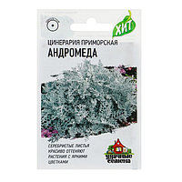 Семена цветов Цинерария приморская 'Андромеда', О, 0,1 г серия ХИТ х3 (комплект из 2 шт.)