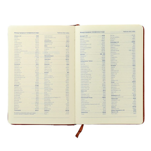 Ежедневник недатированный, формат А5, 120 листов, клетка