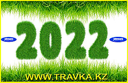 Тенденции и рост продаж газонных трав в Казахстане 2022 год.