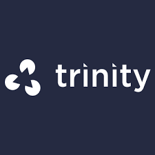 ТИС Trinity Тариф «Разовая» (стоимость за один ИИН)