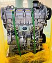 Новый двигатель CWV Volkswagen/Skoda  1.6 л, фото 2