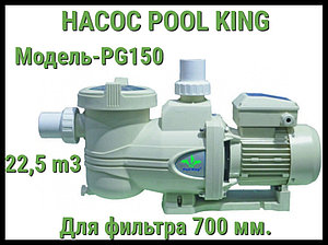 Насос Pool King PG150 c префильтром для бассейна (Производительность 22,5 м3/ч)
