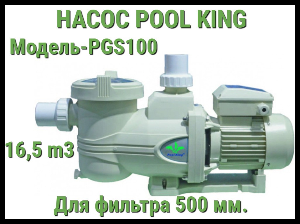 Насос Pool King PGS100 c префильтром для бассейна (Производительность 16,5 м3/ч)