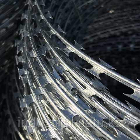 Армированная колючая лента (АКЛ) - фото 1 - id-p97421272