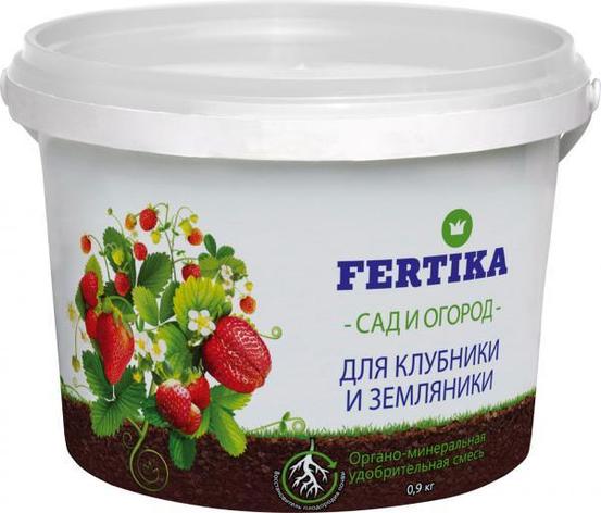 ФЕРТИКА для клубники и земляники (ОМУ) NPK 3:11:14 + ГУМАТ 18% + МИКРО, фото 1