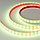 Светодиодная лента RTW-PS-B60-14mm 24V RGBW-Day-4-in-1 (19.2 W/m, IP67, 5060, 5m), фото 2