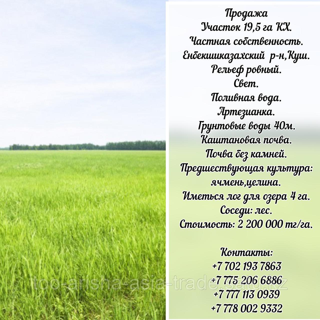 Земля КХ 19.5 га, 13,5 га, 7га Куш Енбекшиказахский район