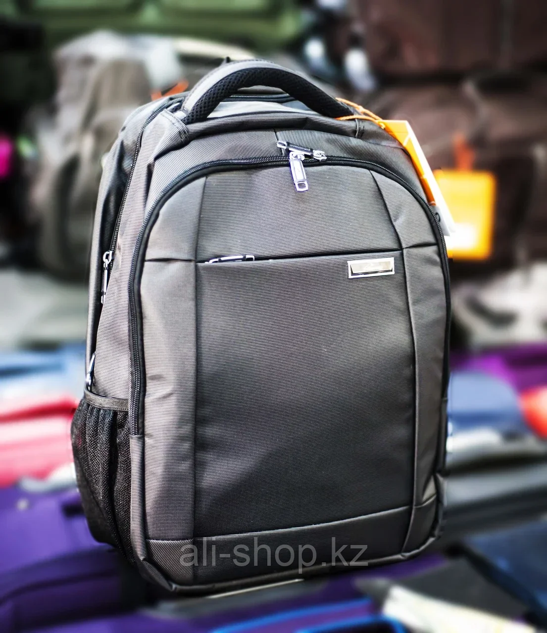 Рюкзак "Asiapard B 881", (серый) - фото 1 - id-p97454054