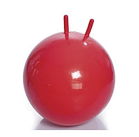 Мяч для фитнеса FUN 55см с ручками WinMax WMF09631