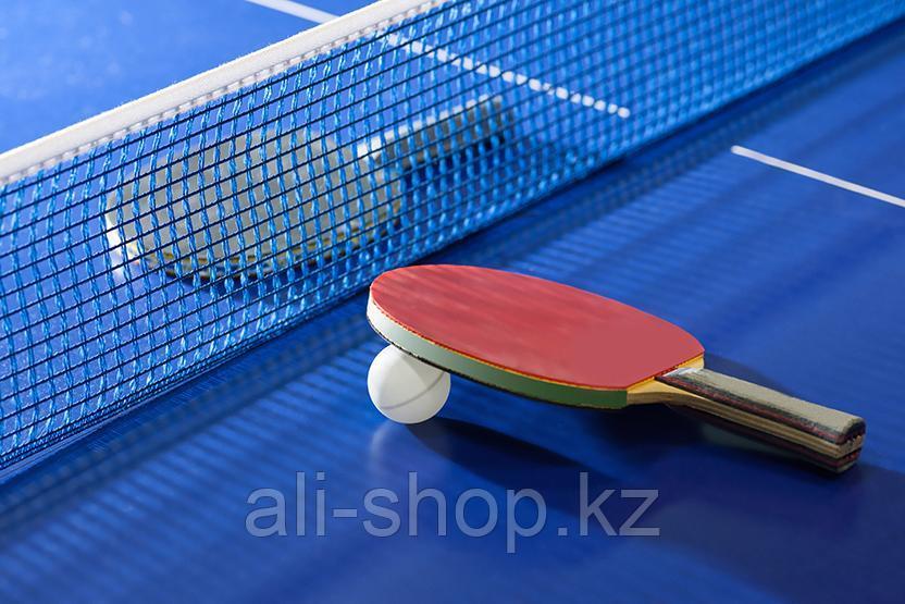 Сетка для настольного тенниса с креплениями PROFI WinMax WMY06616 - фото 1 - id-p97456962