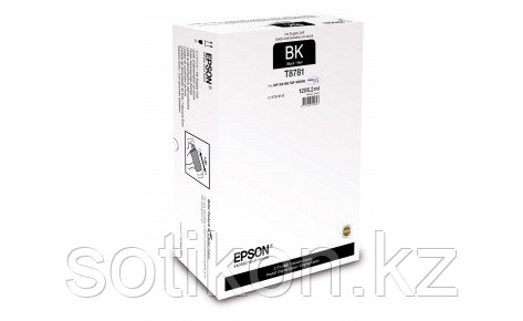 Картридж Epson C13T878140 WorkForce Pro WF-R5xxx series черный, фото 2