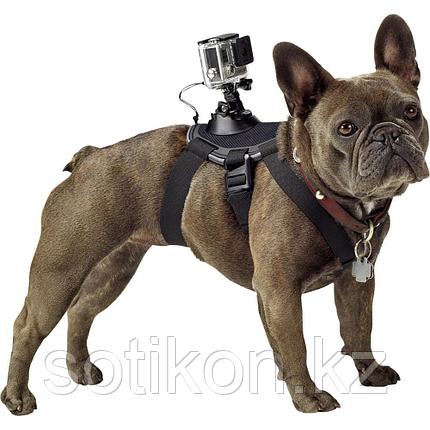 Крепление-упряжка для собак GoPro ADOGM-001, фото 2