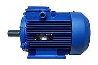 Электродвигатель АИР 160 М4 18,5 кВт*1500 об/мин 1001 380В