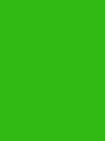 Ковер дражный №367 Зеленый