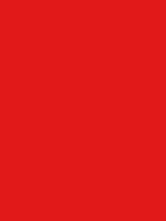 Ковер дражный №362 Амур с наклонной ячеей Красный - фото 1 - id-p97483762