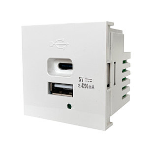 Shelbi Розетка зарядка 2- портовая USB, Type-C, 4.2A, 45х45, белая