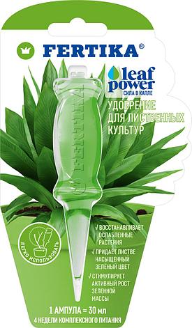 LEAF POWER - для декоративно-лиственных 30 мл, фото 1