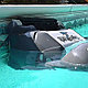 Пылесос-робот Hayward TigerShark (AquaShark) для бассейна (Кабель 17 м.), фото 7