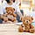 Мягкая игрушка медвежонок с бантом плюшевая 25 см коричневая, фото 3