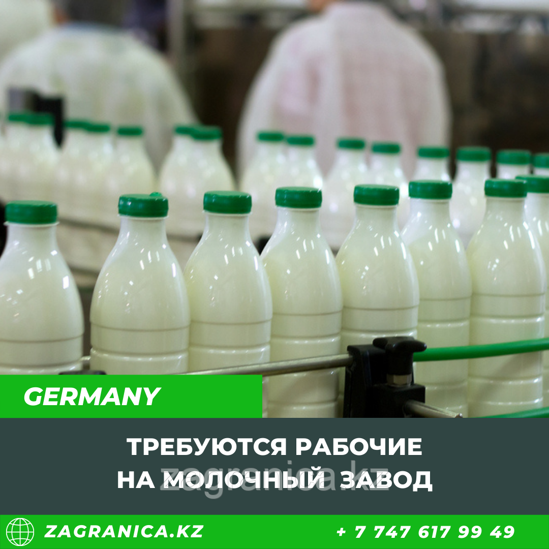 Требуются рабочие на молочный завод в Германию